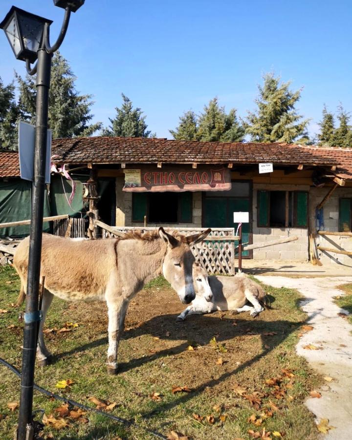 Etno Selo Timcevski Complex Vojnik Bagian luar foto